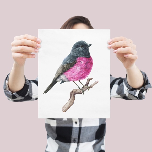 Pink Robin Bird Wall Art Watercolor Illustration Print Poster Card Unframed - Picture 5 of 7